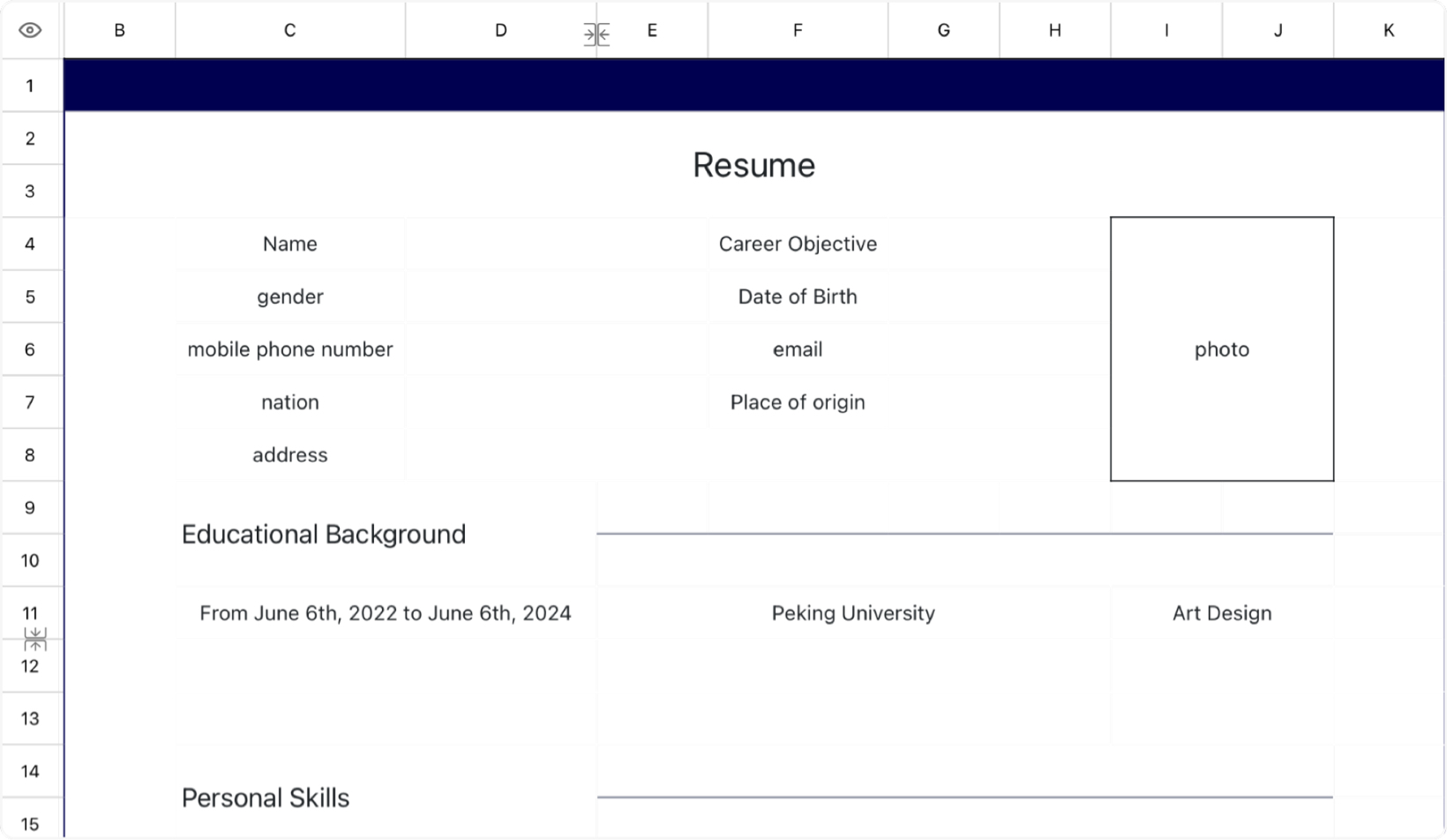 Concise Personal Resume